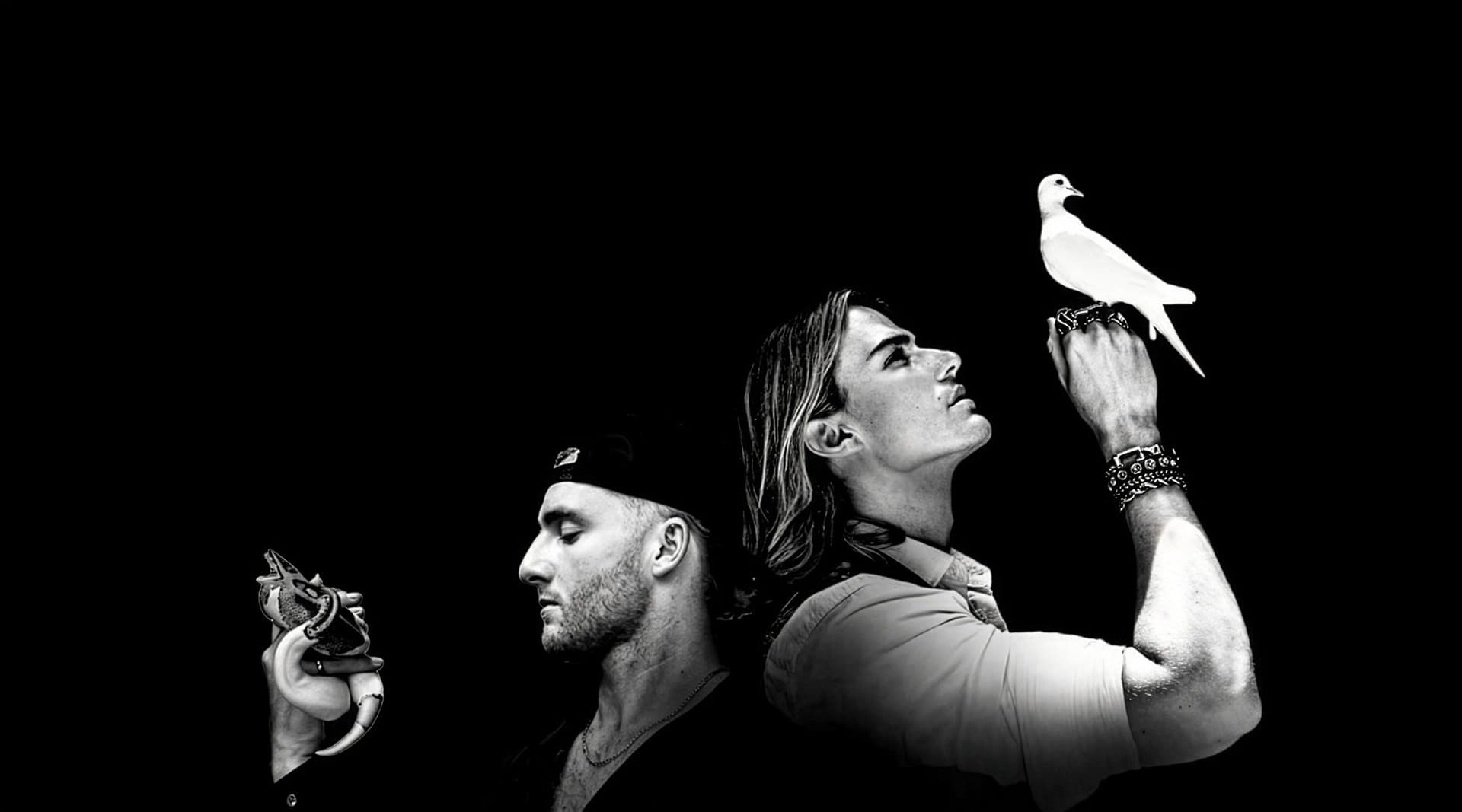 VOILÀ - Conciertos en Zürich