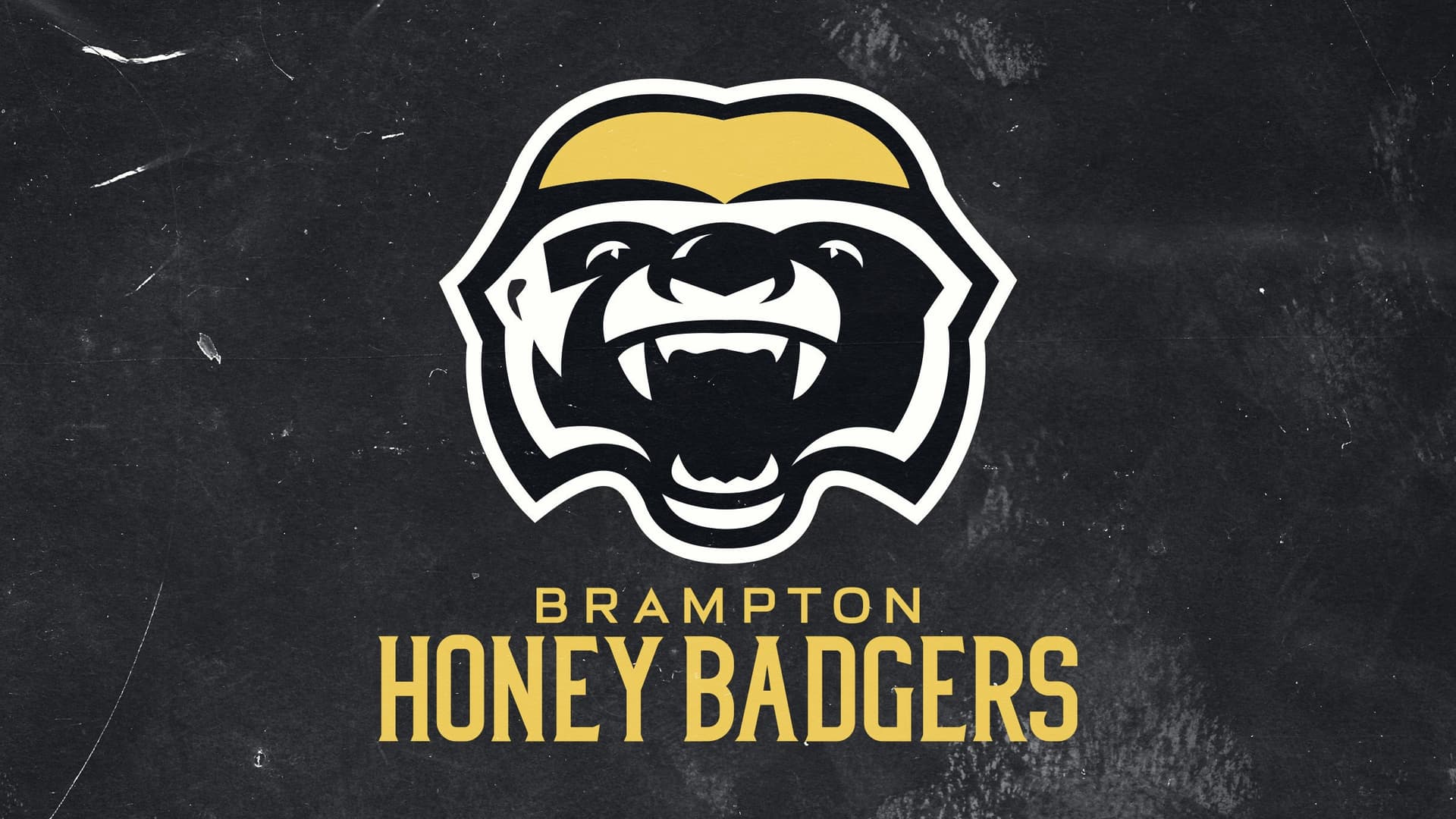 Brampton Honey Badgers vs. Niagara River Lions - Deportes en Brampton
