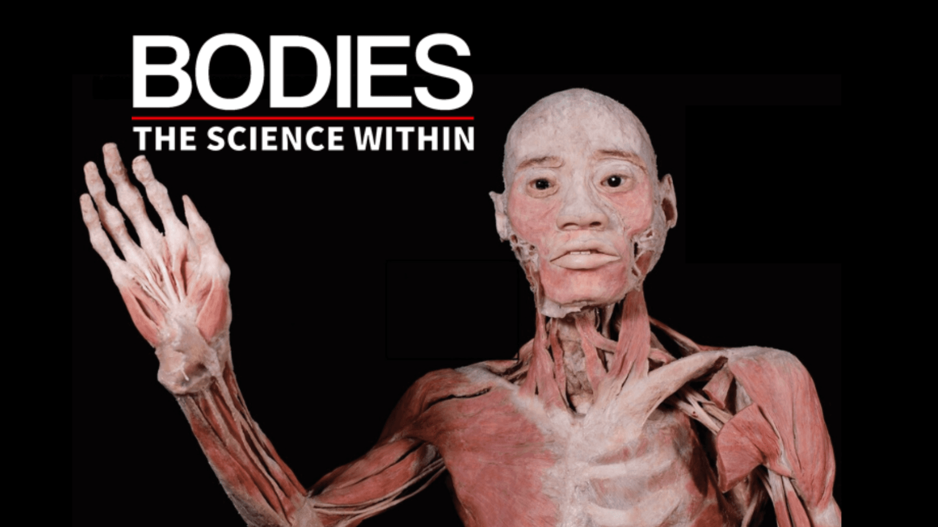 Bodies - The Science Within - Denver - Tours en Denver