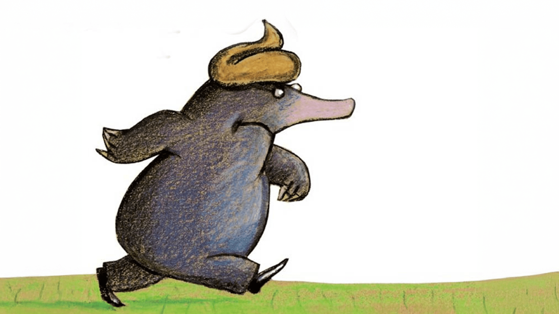 Meneer Monster: Over een kleine mol - Tours en Bloemendaal