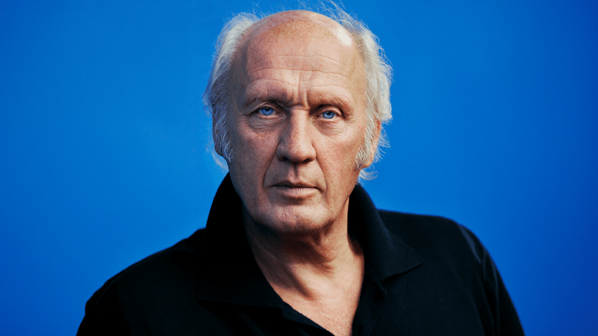 Zuiderpark Live: Herman van Veen - Conciertos en Den Haag