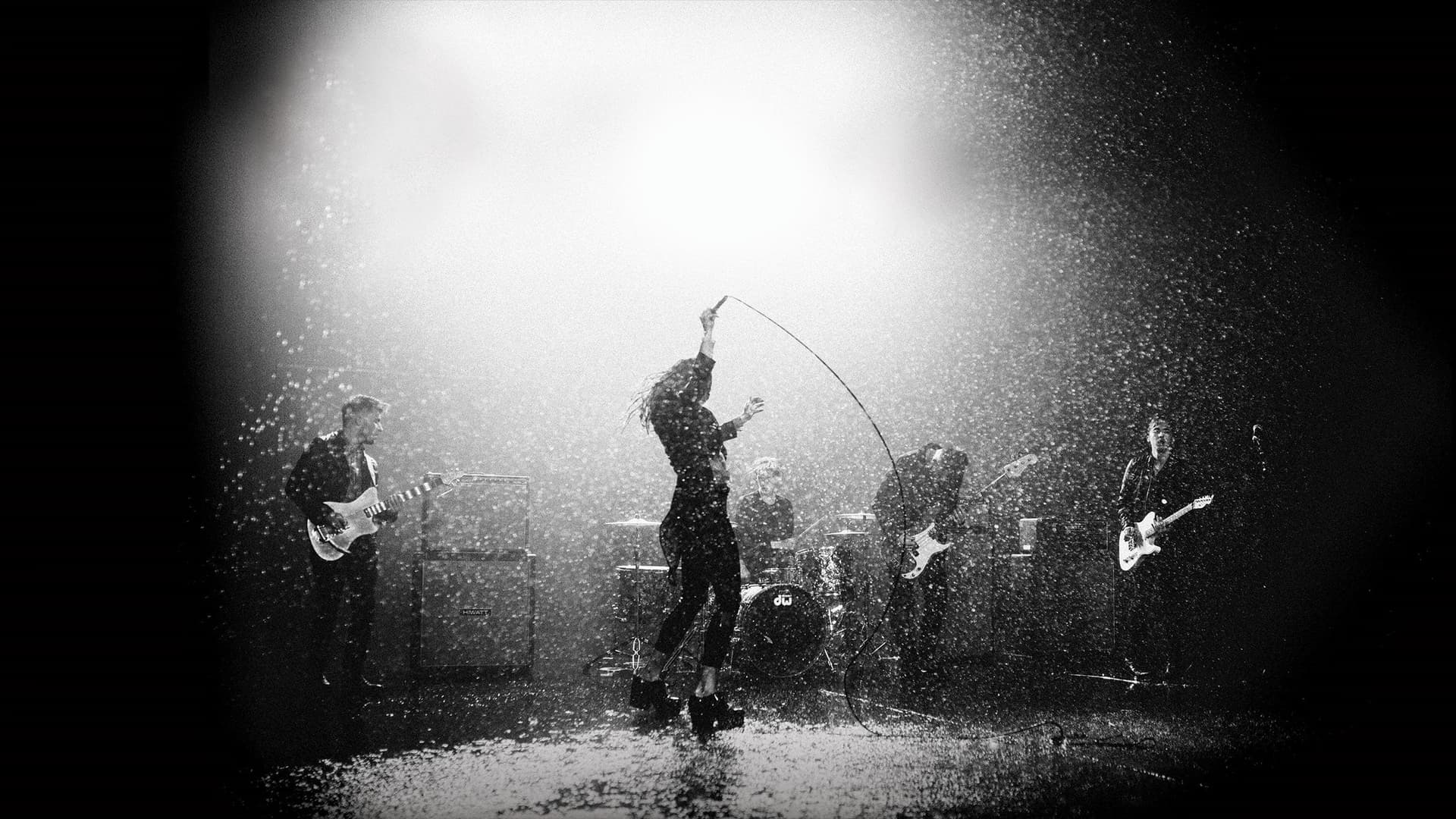 Marmozets