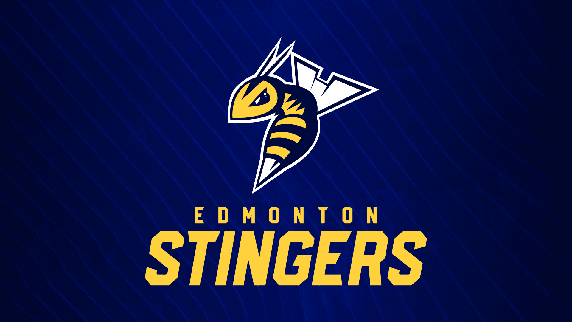 Edmonton Stingers vs. Montreal Alliance