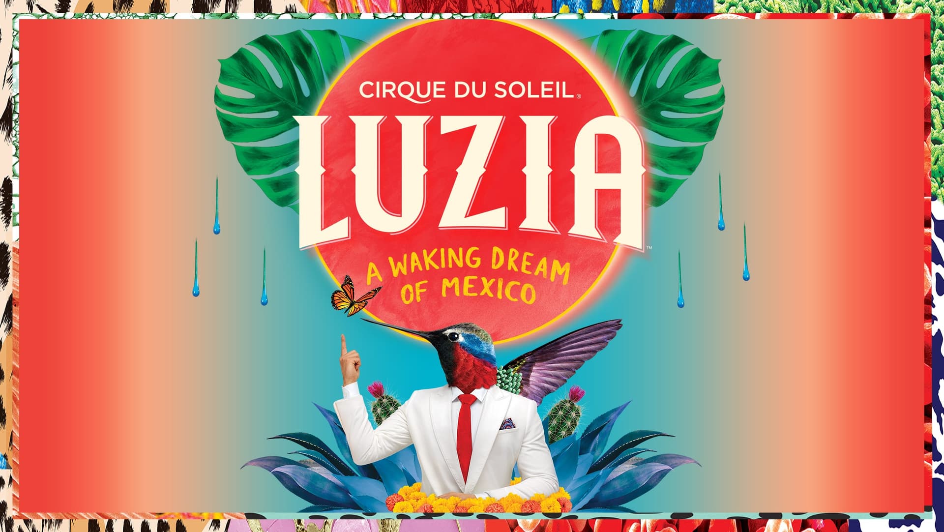 Cirque du Soleil: Luzia - Teatro en Toronto