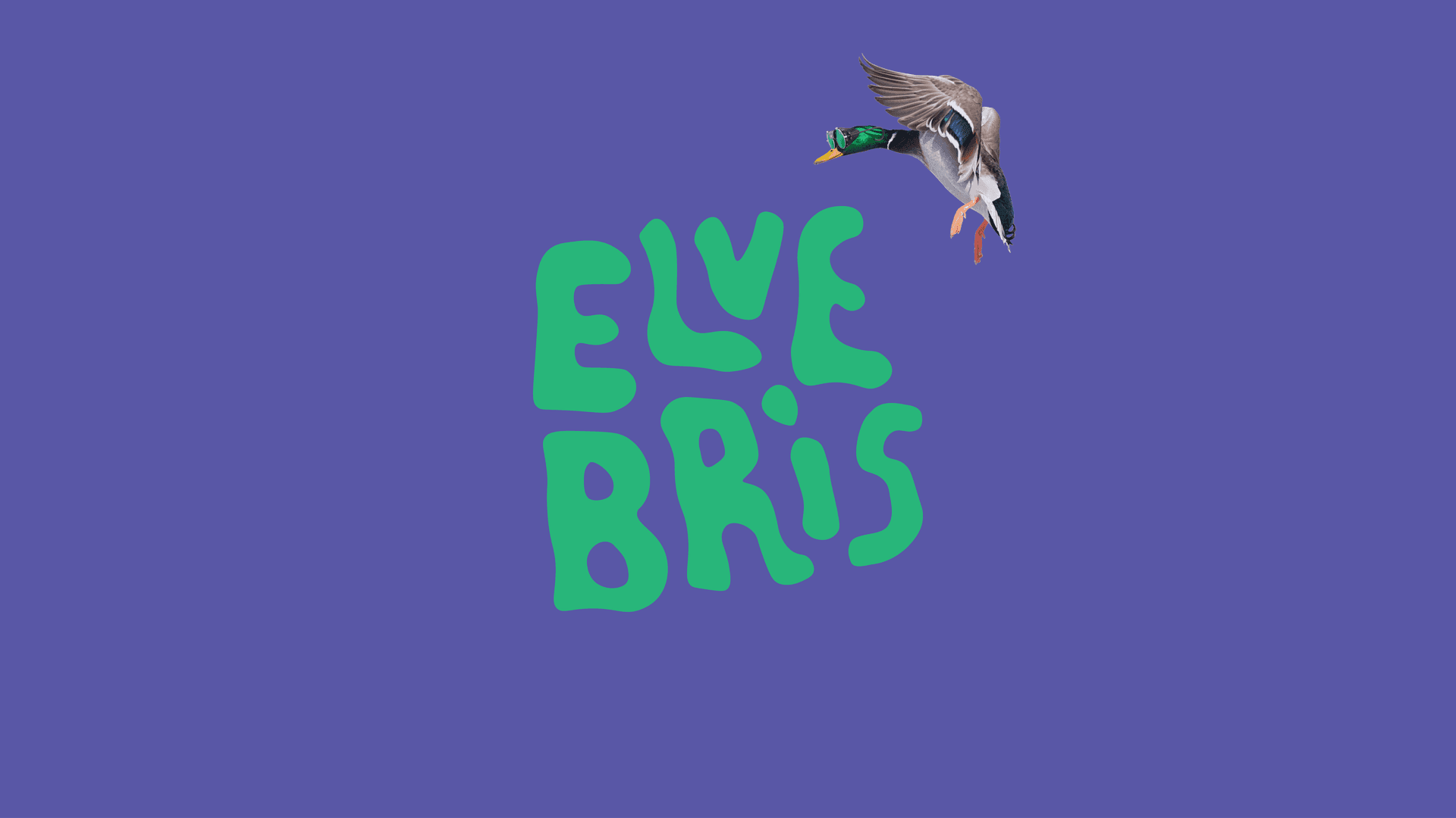 ELVEBRIS 2026 BUSSBILLETT - FREDAG 19.06 - Tours en Elverum