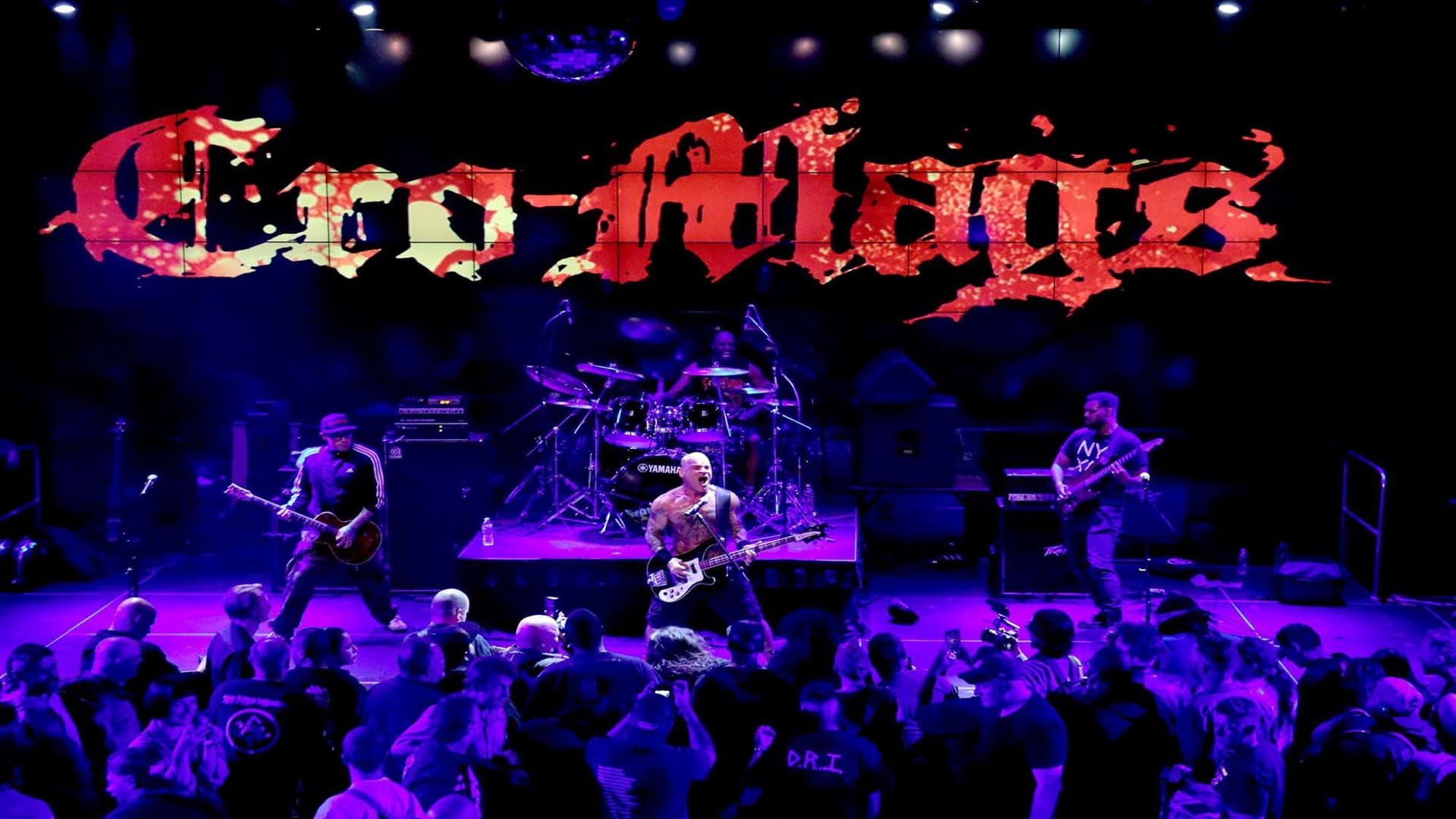 Cro-Mags - Conciertos en Hoofddorp