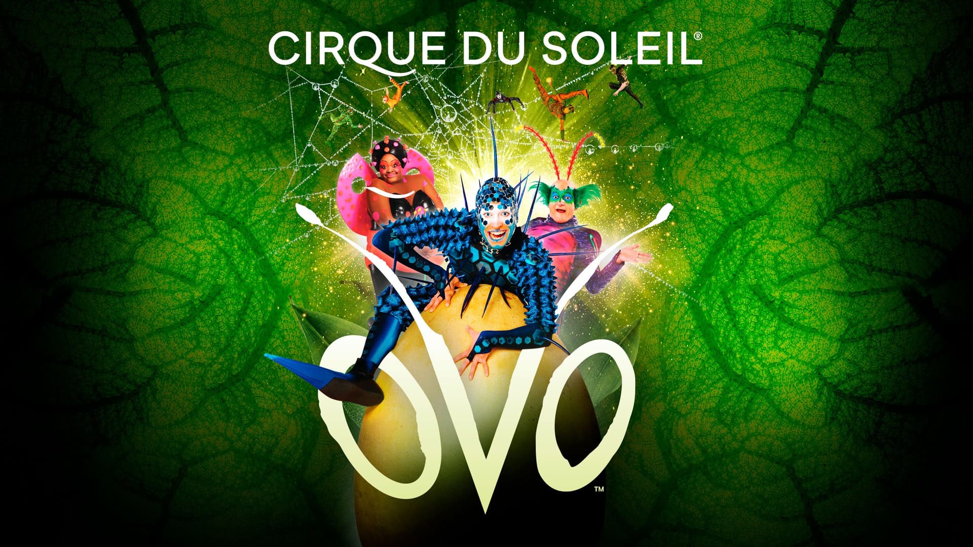 Cirque du Soleil OVO - Teatro en Salzburg