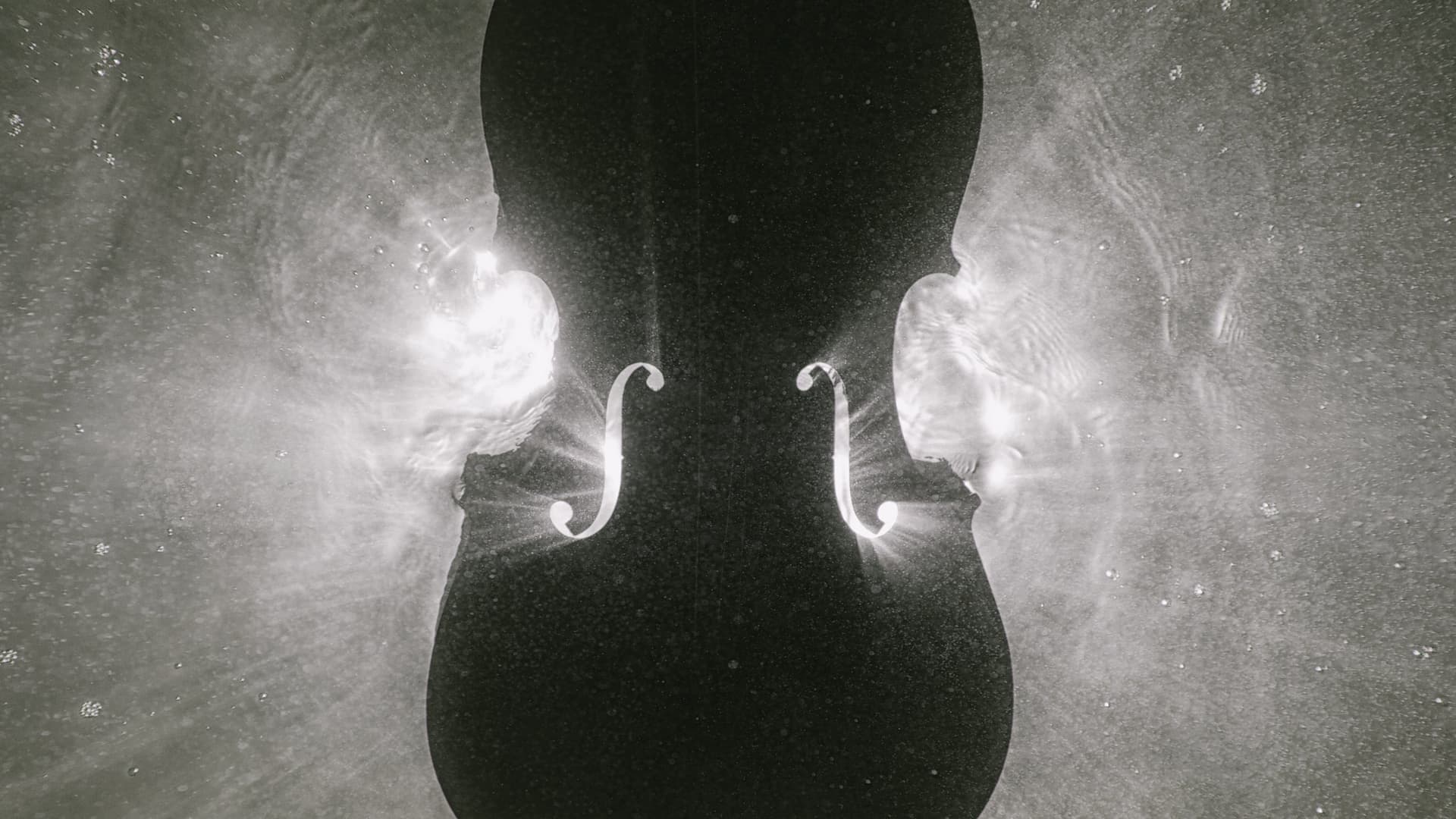 Auckland Philharmonia: Mendelssohn's Violin - Teatro en Auckland