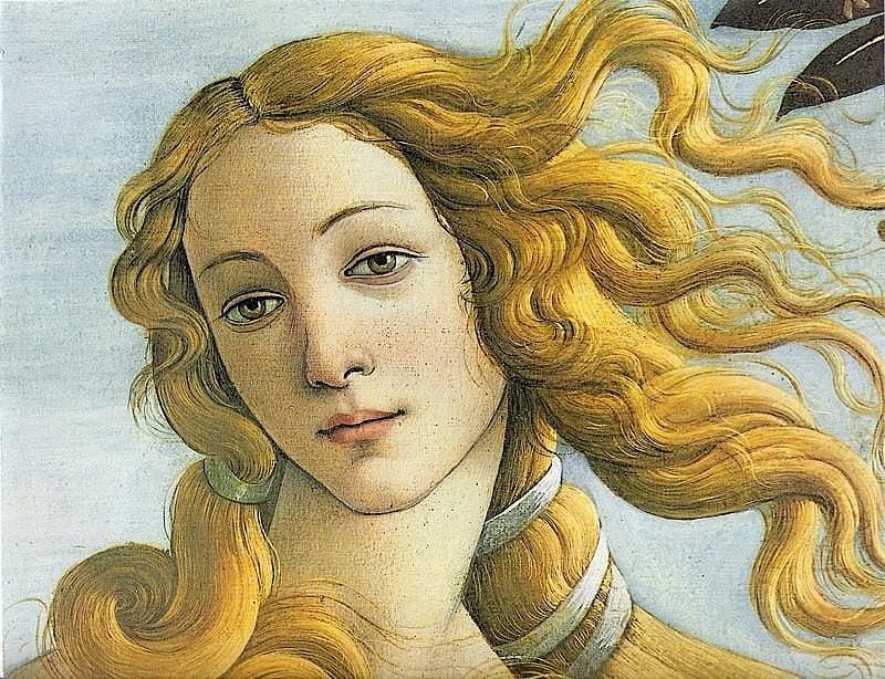 Golden Section: Divine Proportion in Art and Architecture