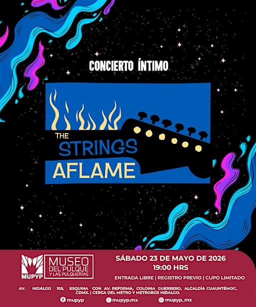 CONCIERTO ÍNTIMO / THE STRINGS AFLAME