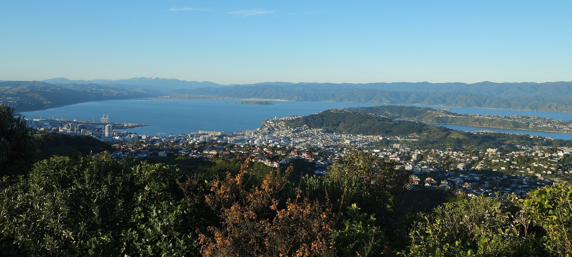 Qué hacer en Wellington, New Zealand