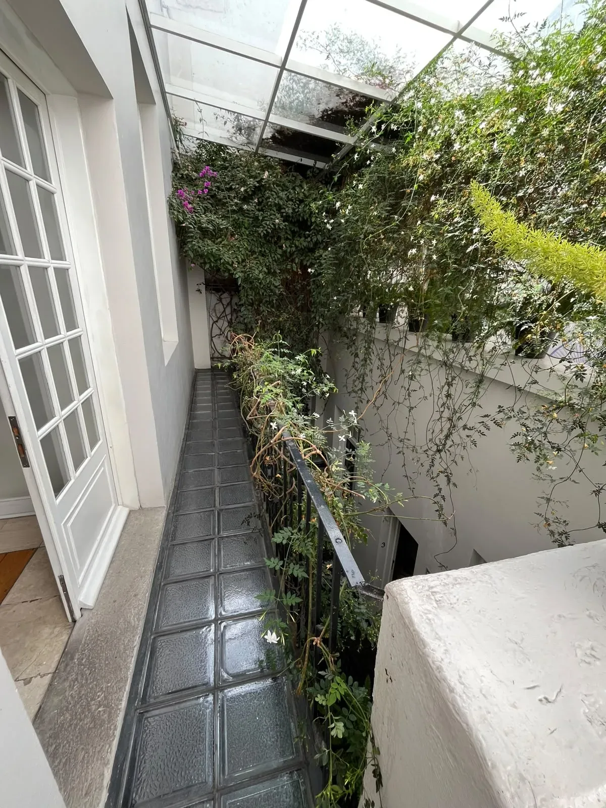 Pasillo exterior de Casa Goliana con plantas trepadoras y piso de mosaico