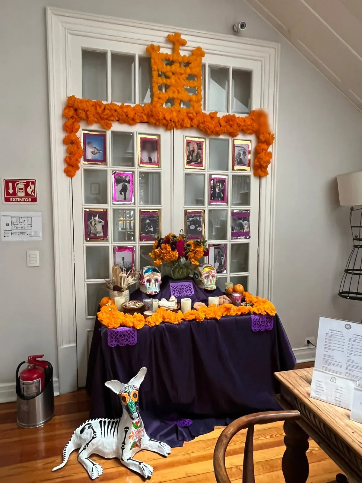 Altar de Día de Muertos de Casa Goliana con cempasúchil, calaveras, fotografías y un alebrije