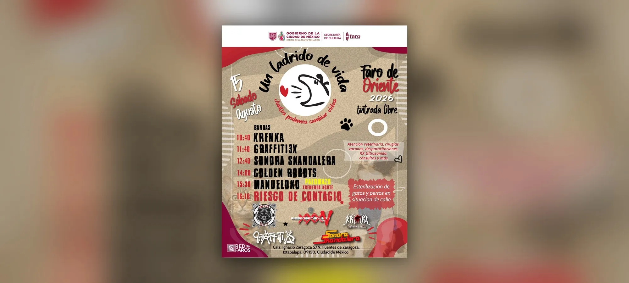 Un ladrido de vida: esterilizaciones y más gratis