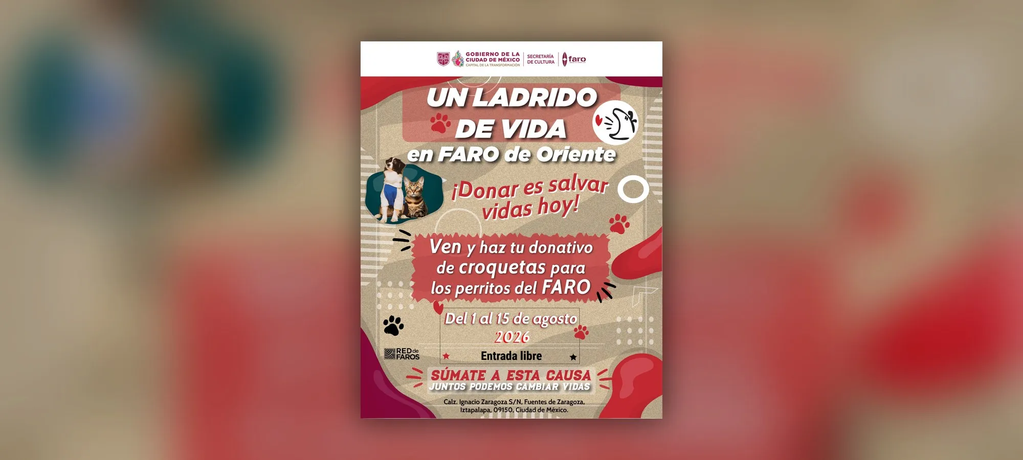 Un ladrido de vida: colecta de croquetas en el FARO de Oriente