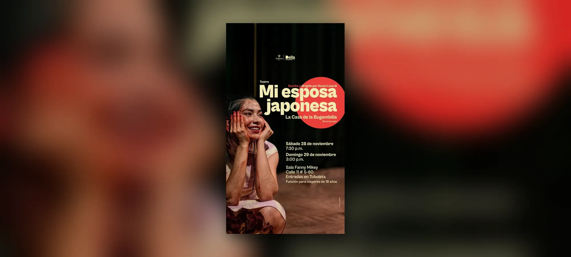 Mi esposa japonesa - Teatro en Bogotá