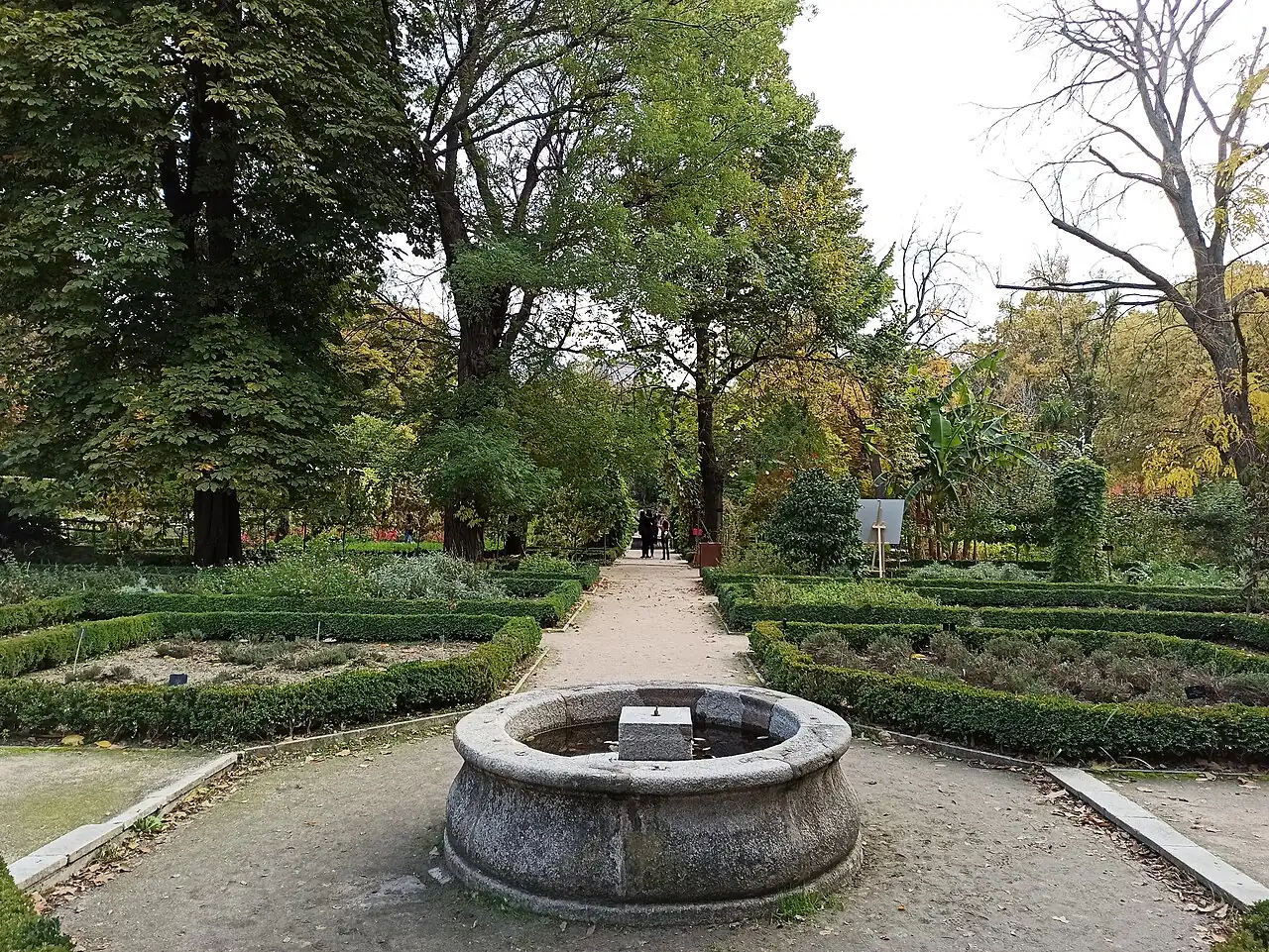 Real Jardín Botánico de Madrid