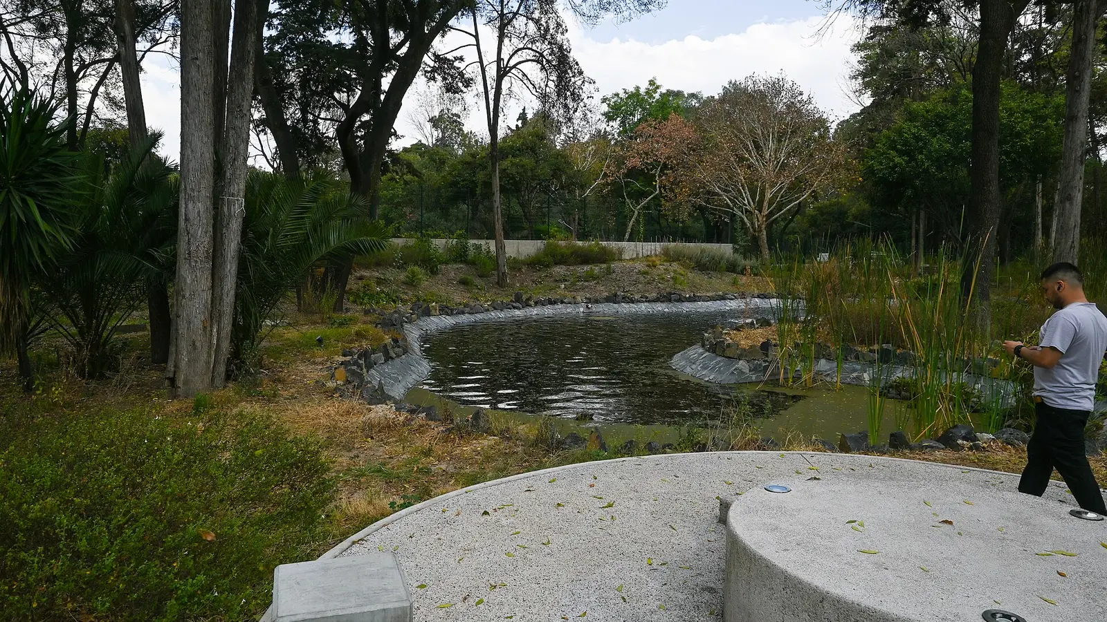 Jardin Escenico