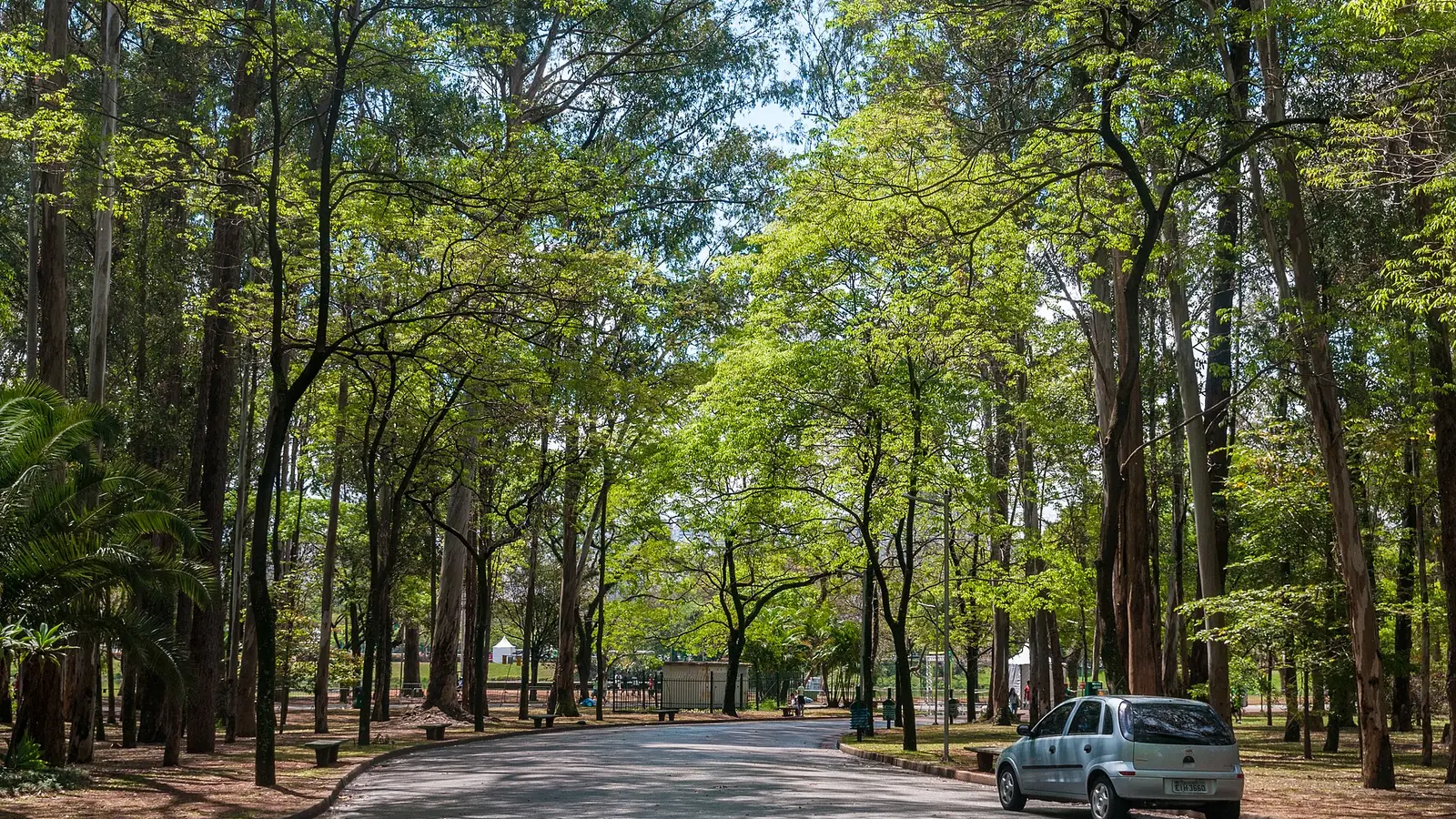 Parque Ibirapuera
