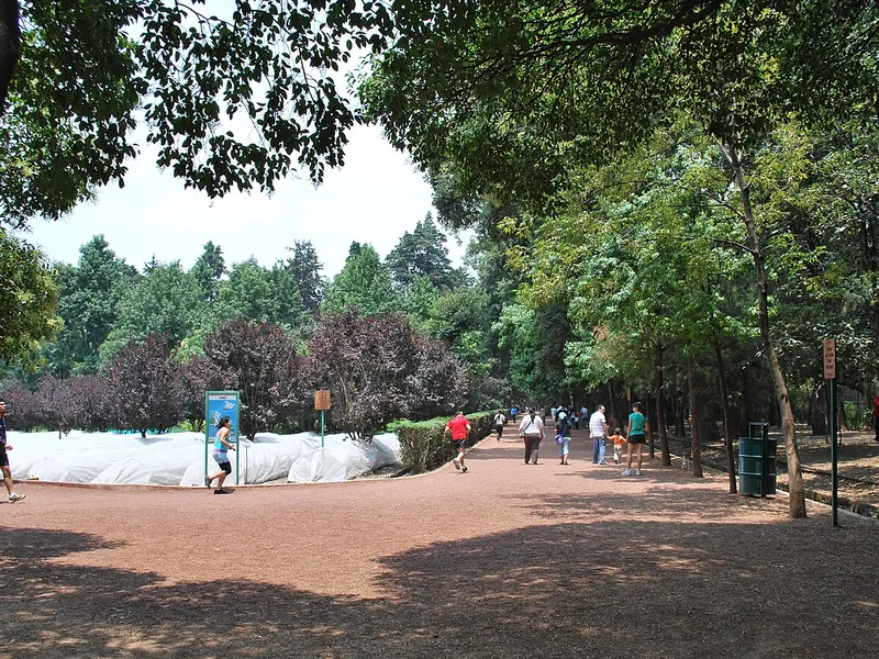 Vivero Coyoacán